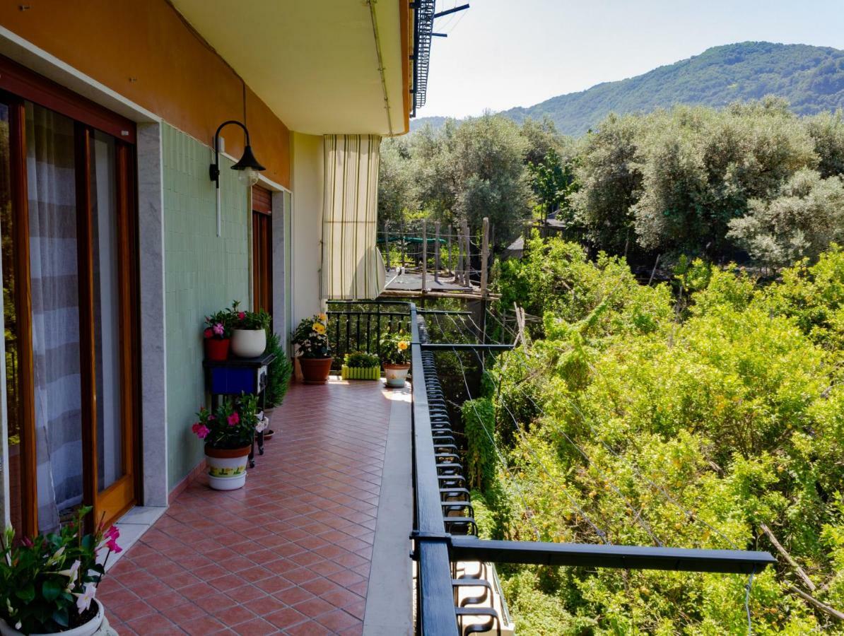 Flower'S Home Sorrento Luaran gambar